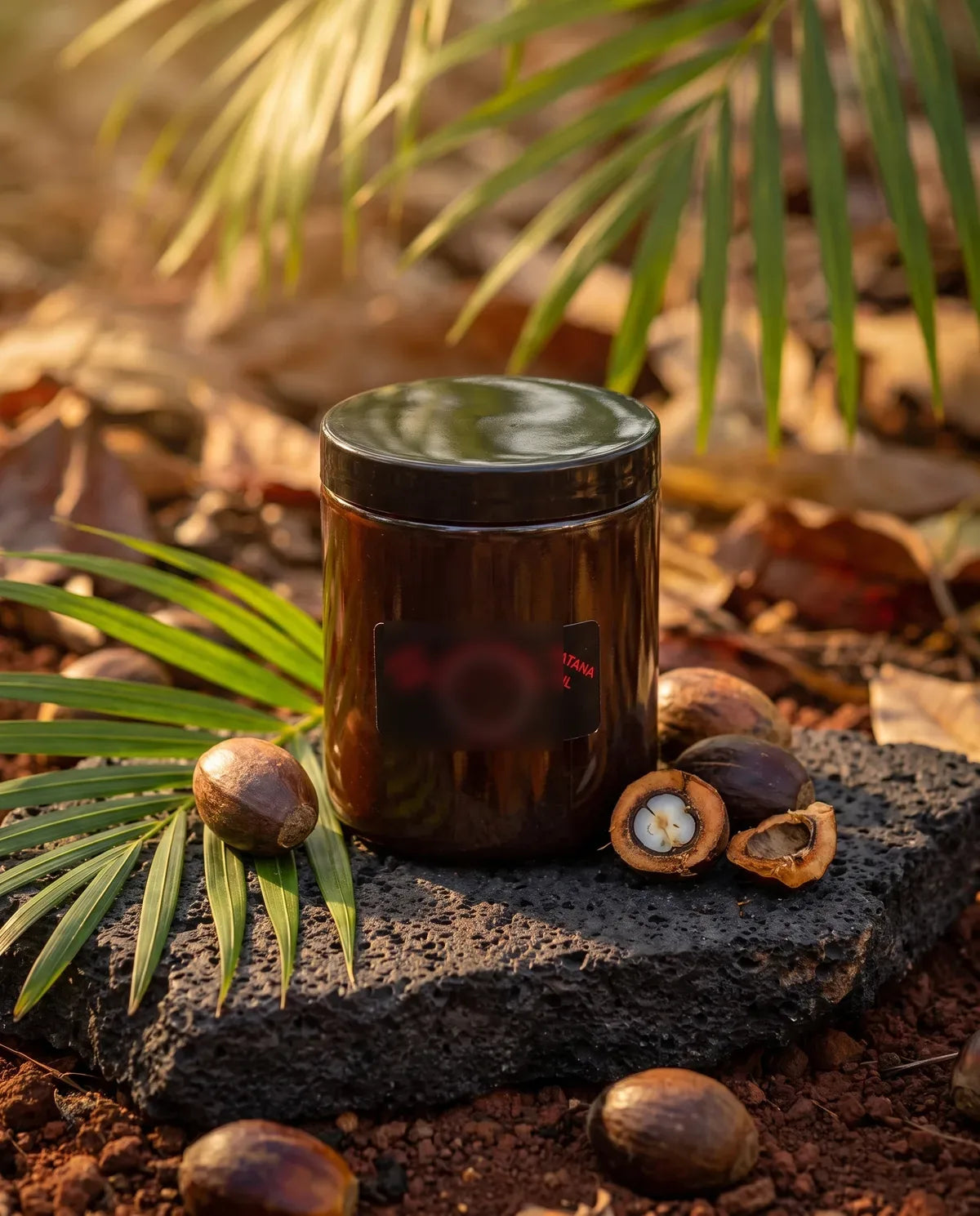 Zion's Mane batana oil jar on volcanic stone with batana nuts and palm fronds
